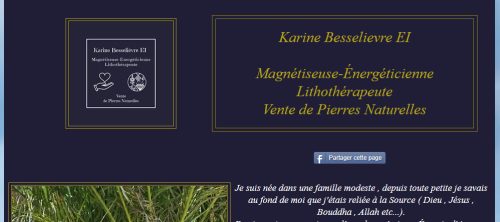 Avis karinebesselievre.store