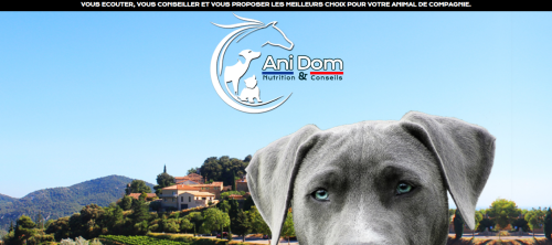 Avis anidom.fr