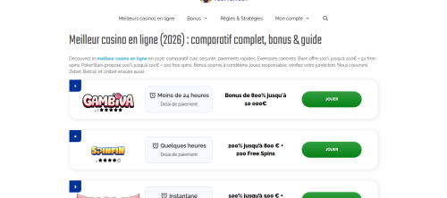 Avis sauvonslesriches.fr